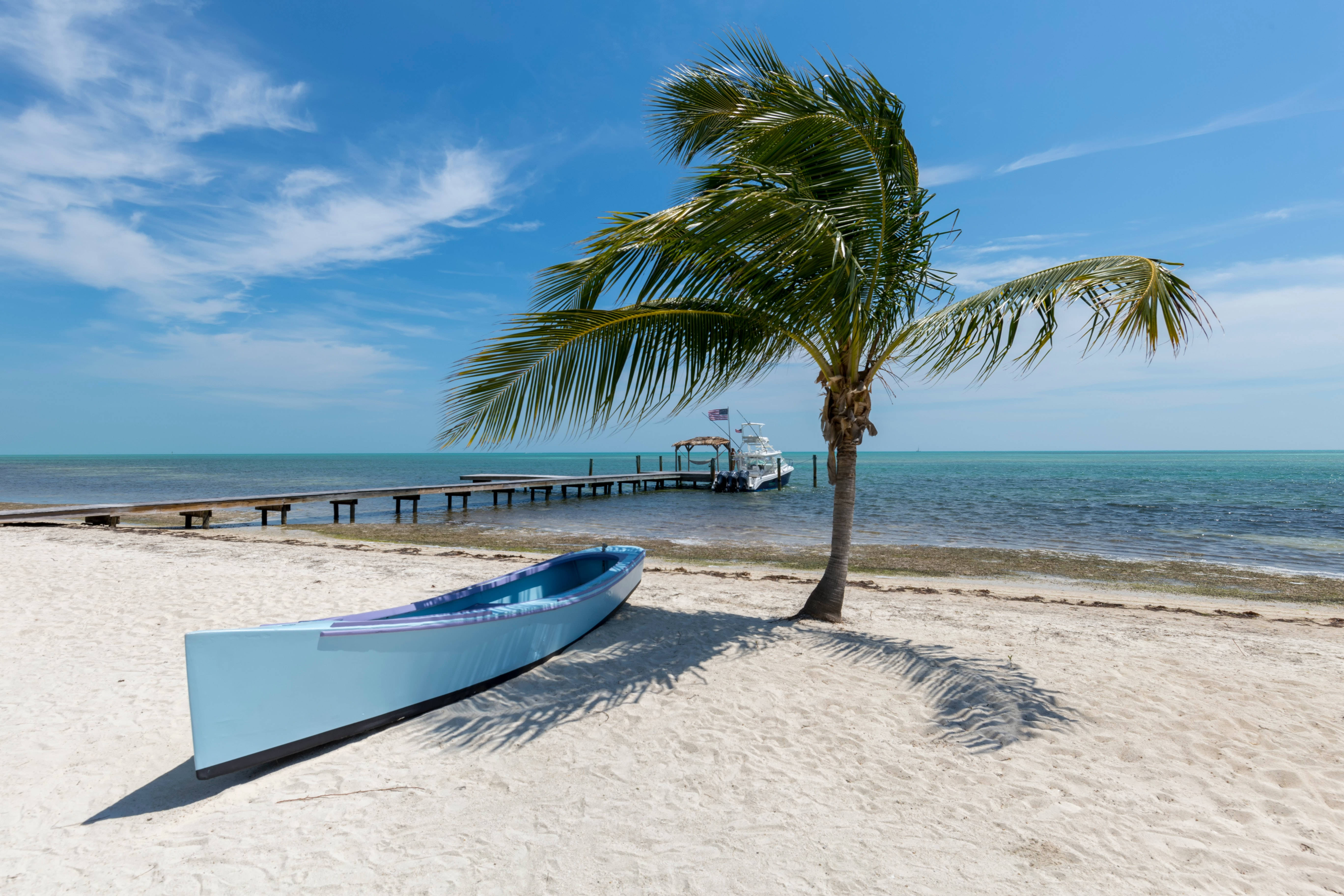 1920x1080 Hd Beach Desktop Canoe And Palm Tree Wallpaper