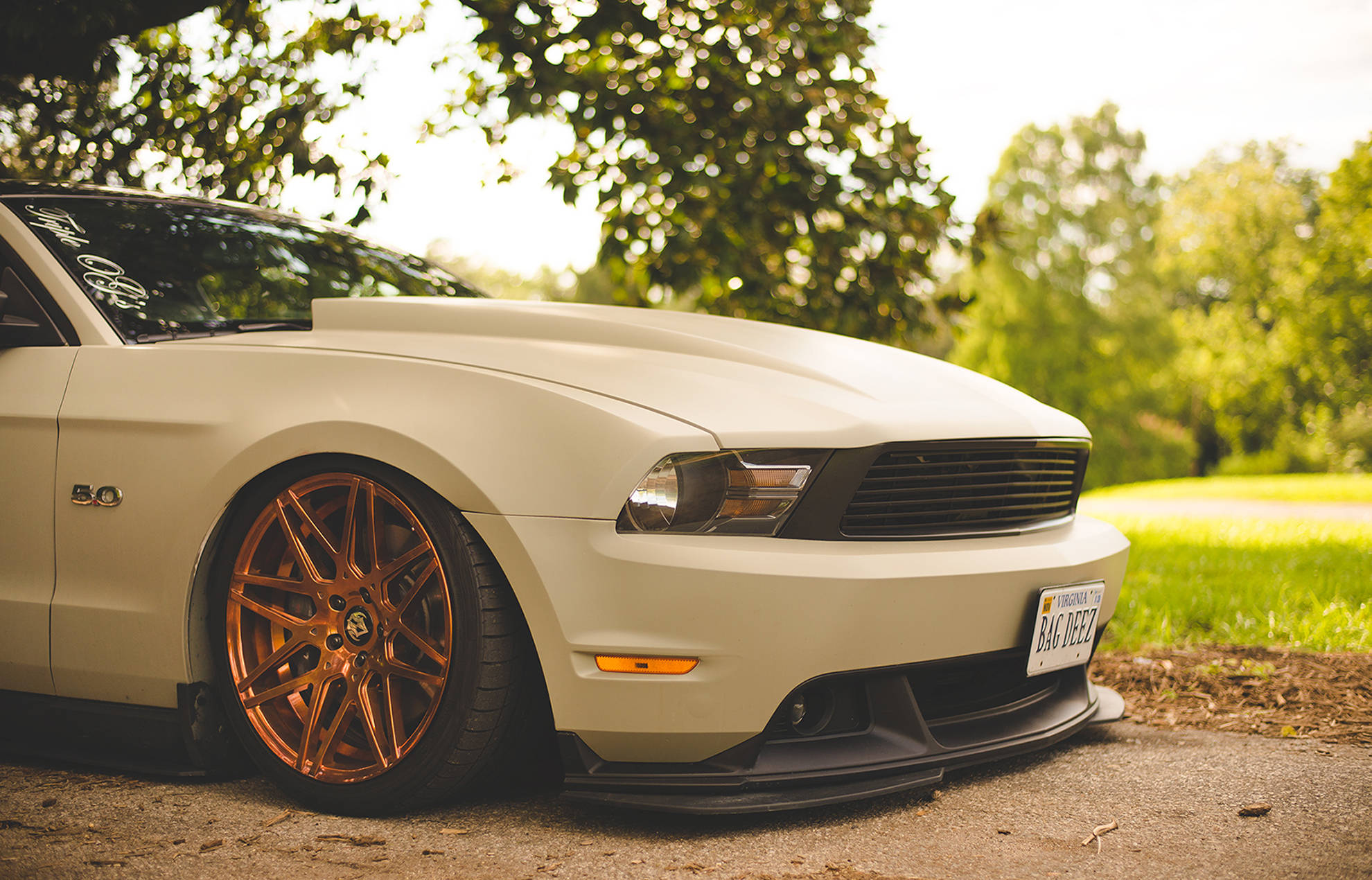 2010 Sleek White Ford Mustang Hd Wallpaper