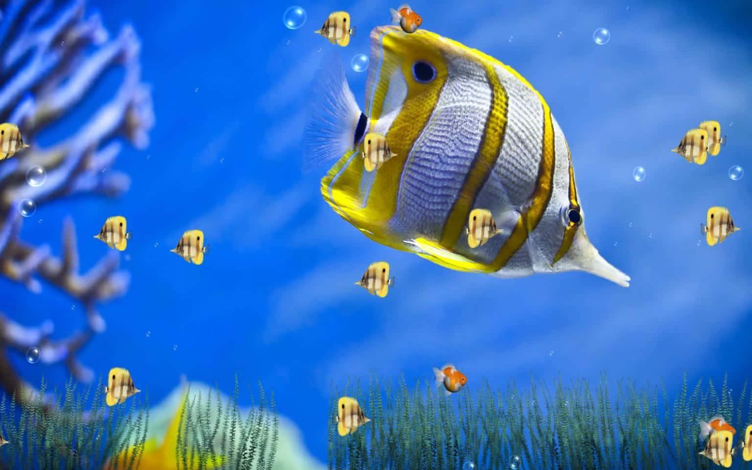 3d Fish Swimming In A Lively Underwater Scene Wallpaper