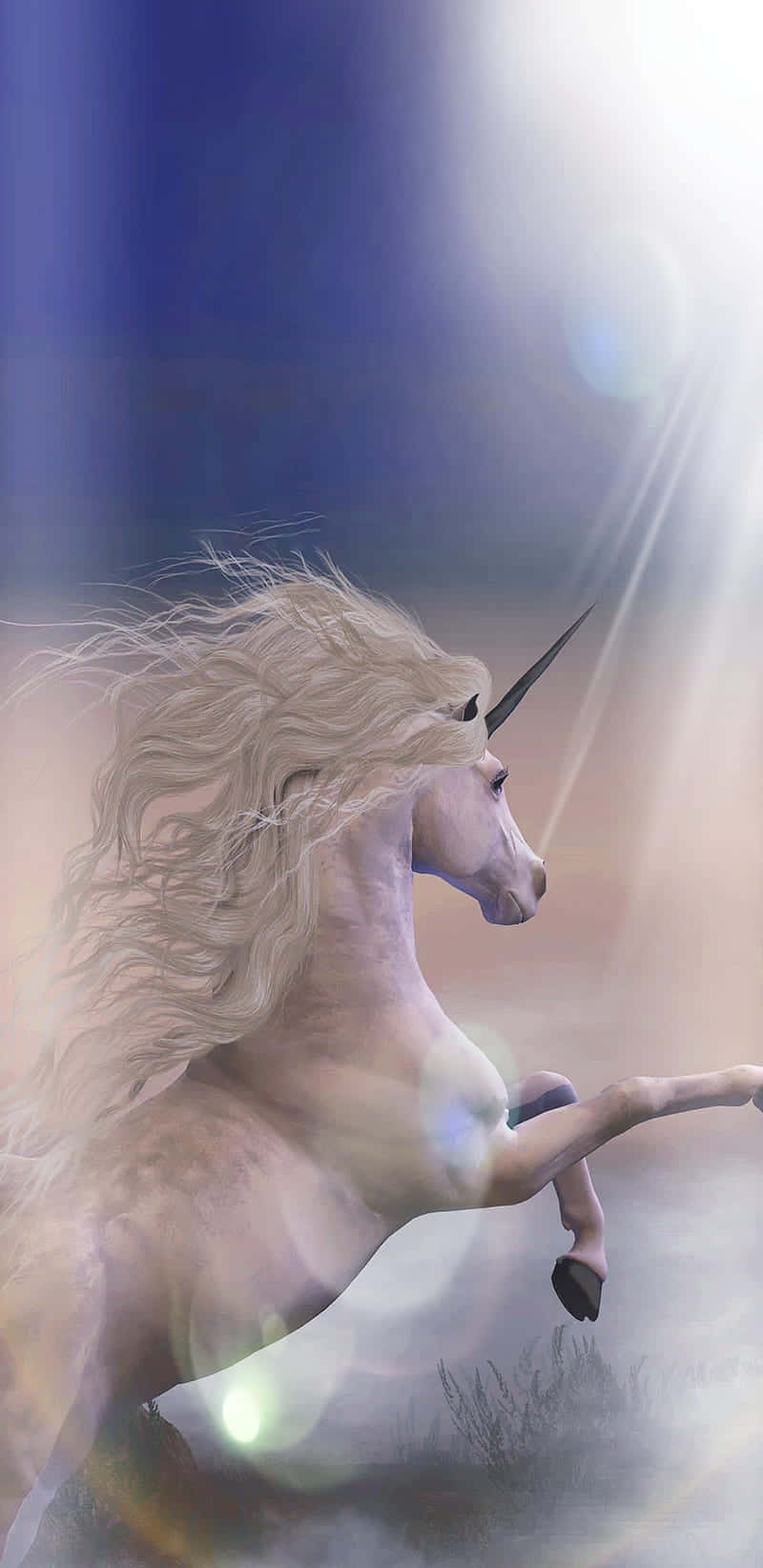 3d Magical Unicorn Neigh Wallpaper