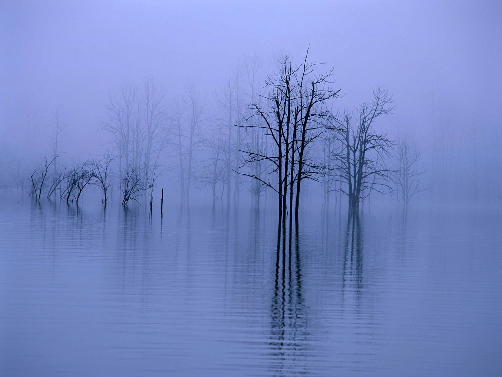 4k Autumn Foggy Lake Wallpaper