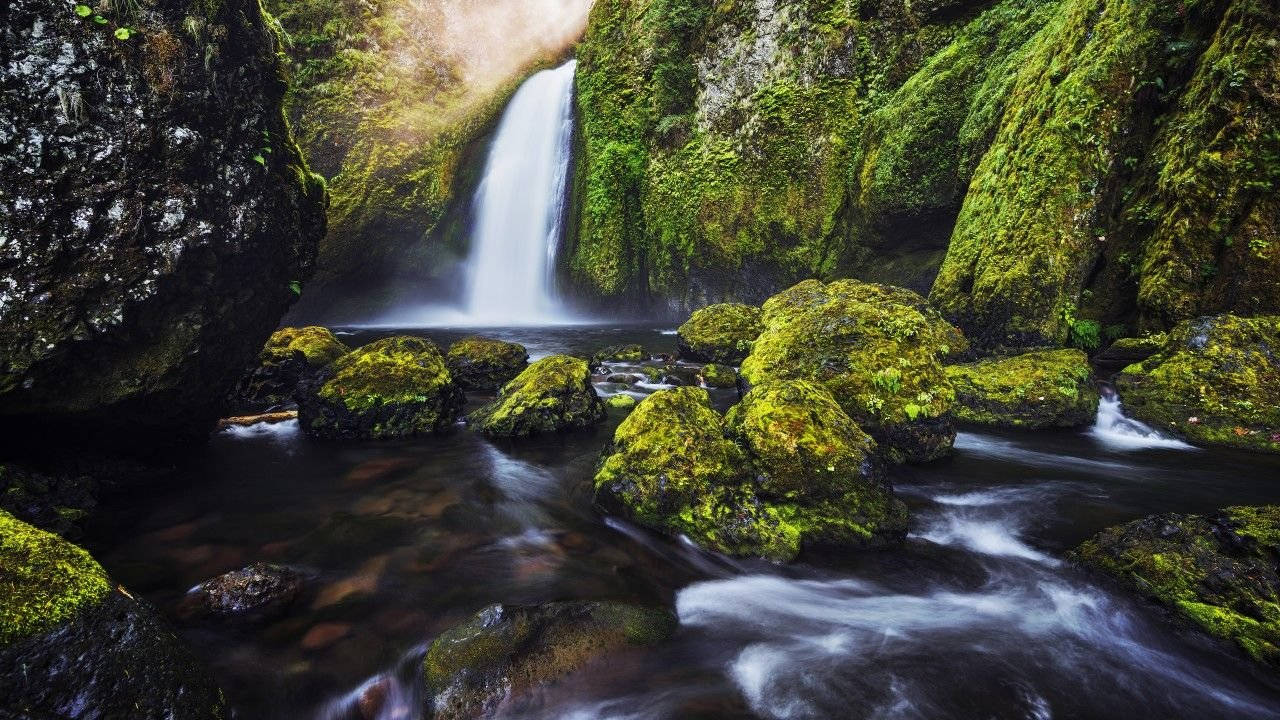 4k Nature Mossy Rocks Wallpaper