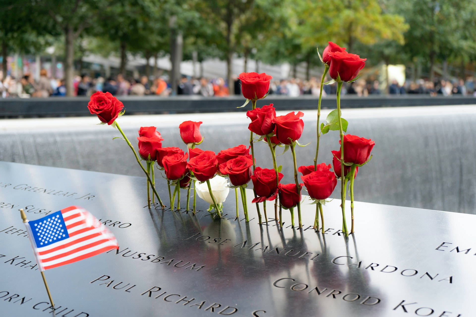 911 Memorial Standing Roses Wallpaper