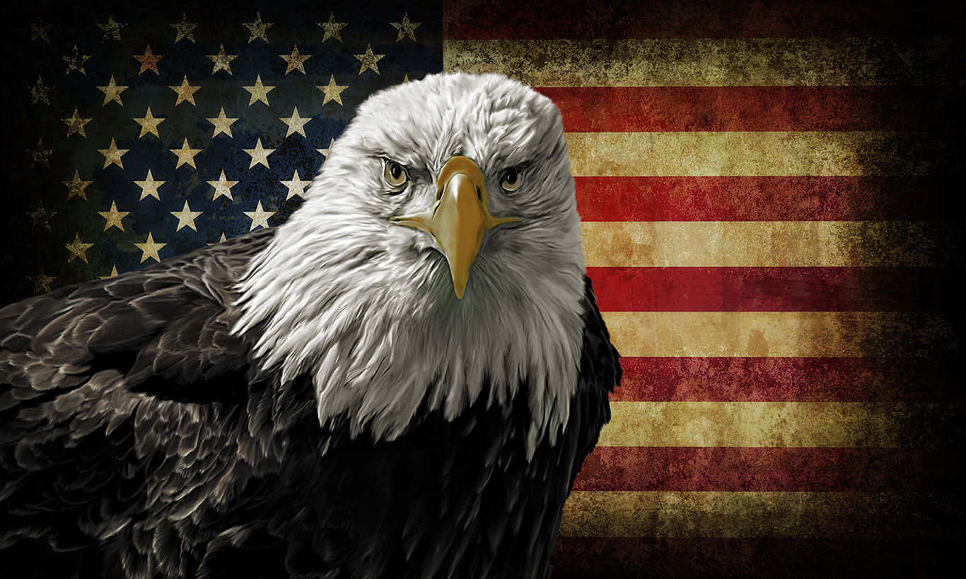 A Bald Eagle Is Standing In Front Of An American Flag Wallpaper