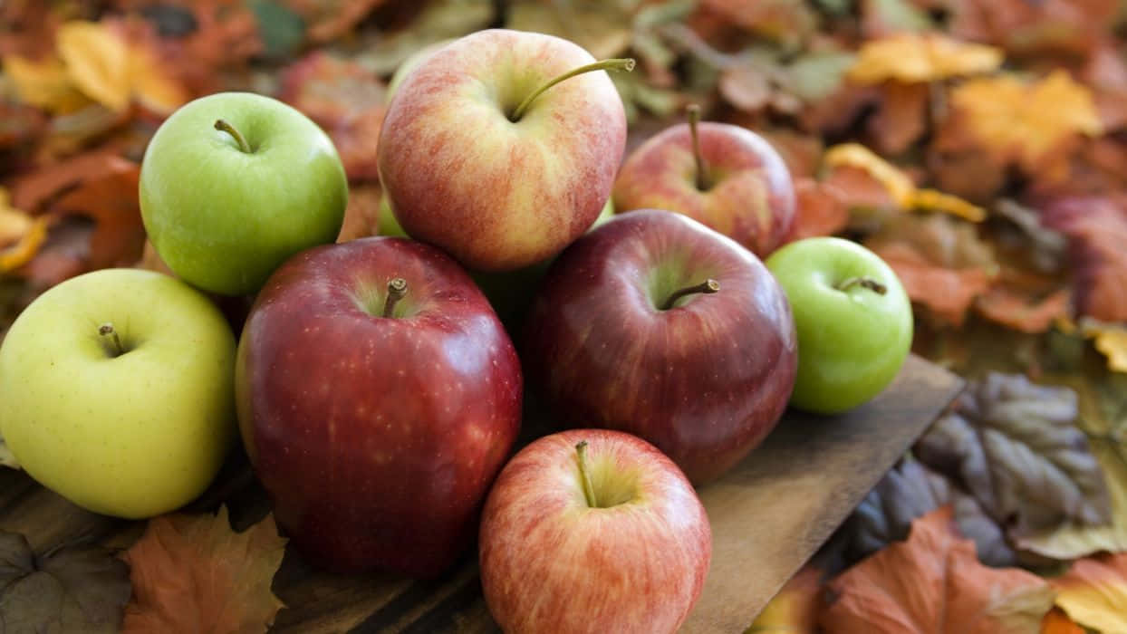 A Basketful Of Freshly Picked Fall Apples Wallpaper