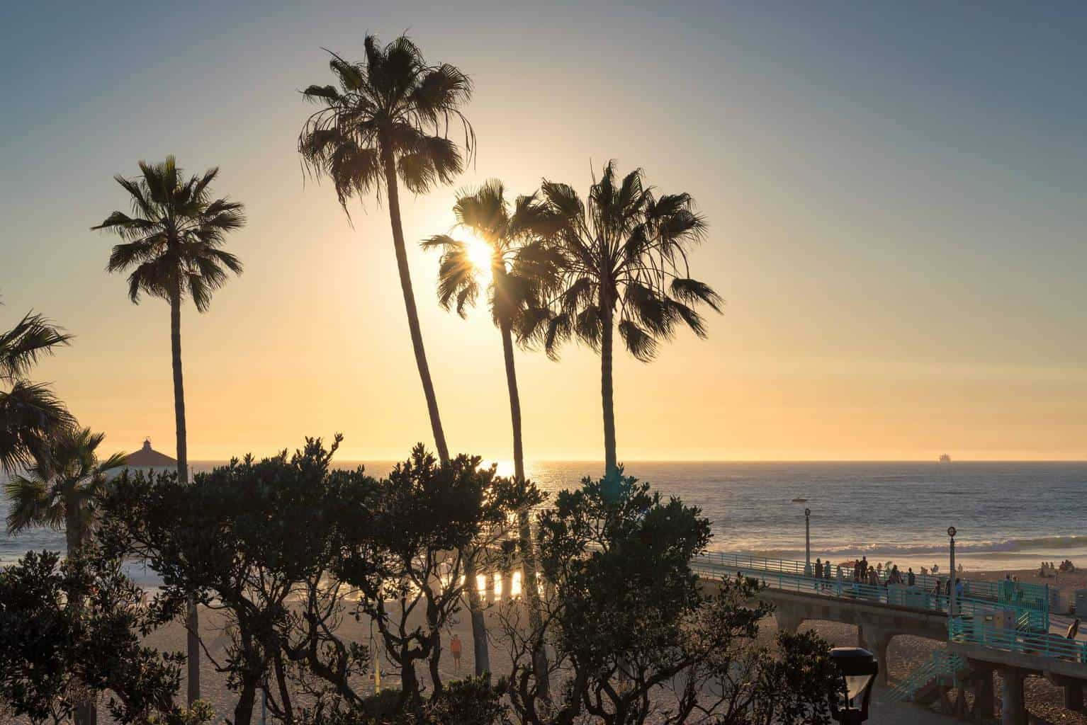 A Beach With Palm Trees And A Pier Wallpaper