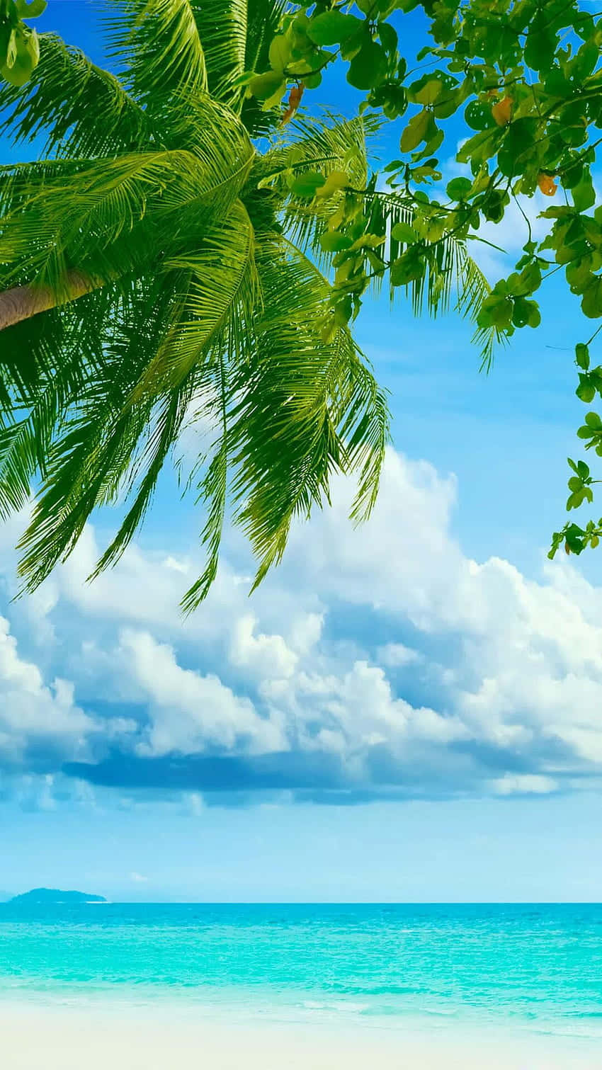 A Beach With Palm Trees And Blue Water Wallpaper