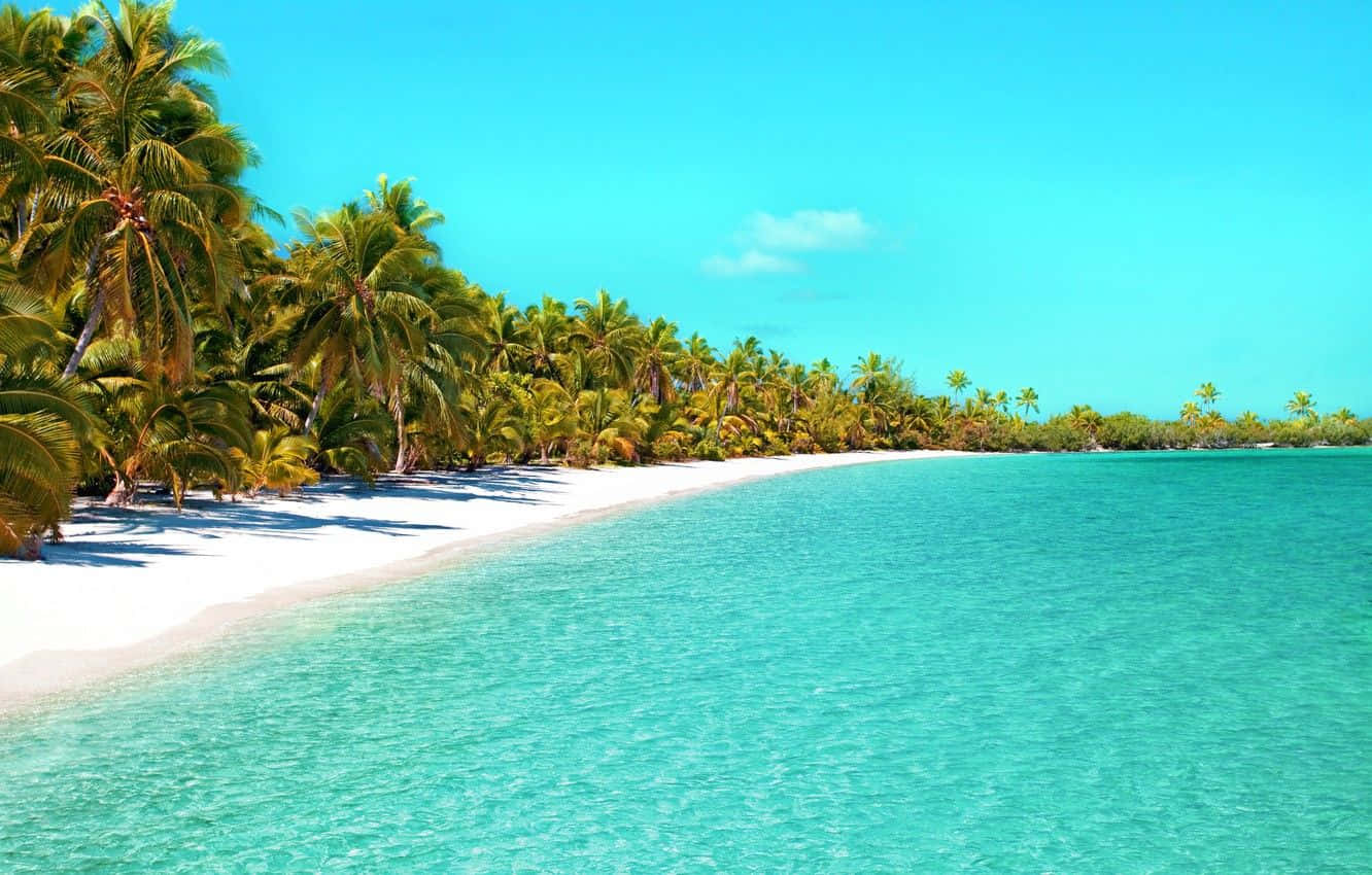 A Beach With Palm Trees And Clear Water Wallpaper