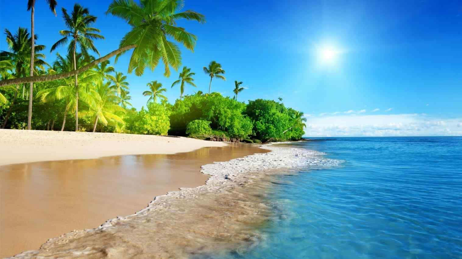 A Beach With Palm Trees And Water Wallpaper