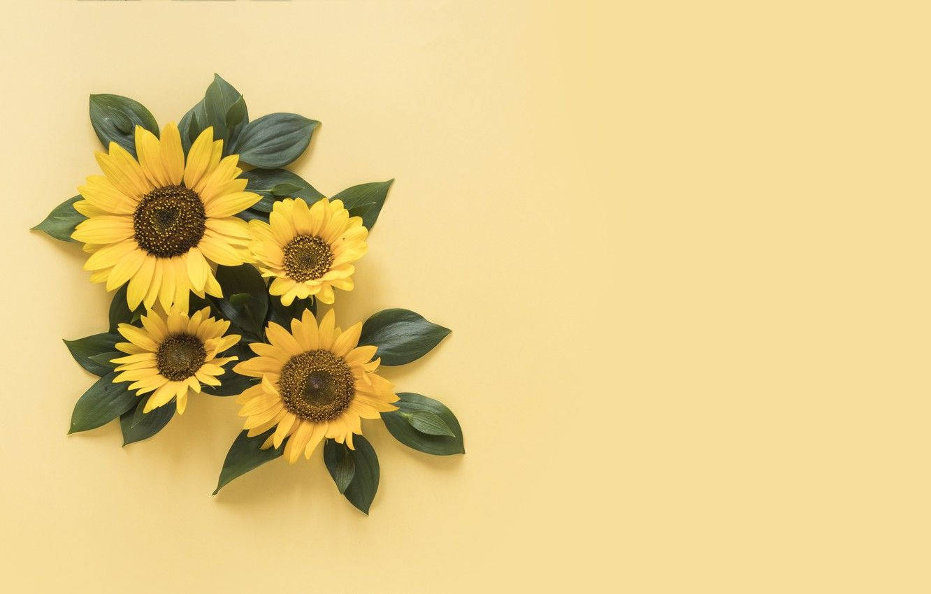 A Beautiful Arrangement Of A Sunflower And Roses Wallpaper