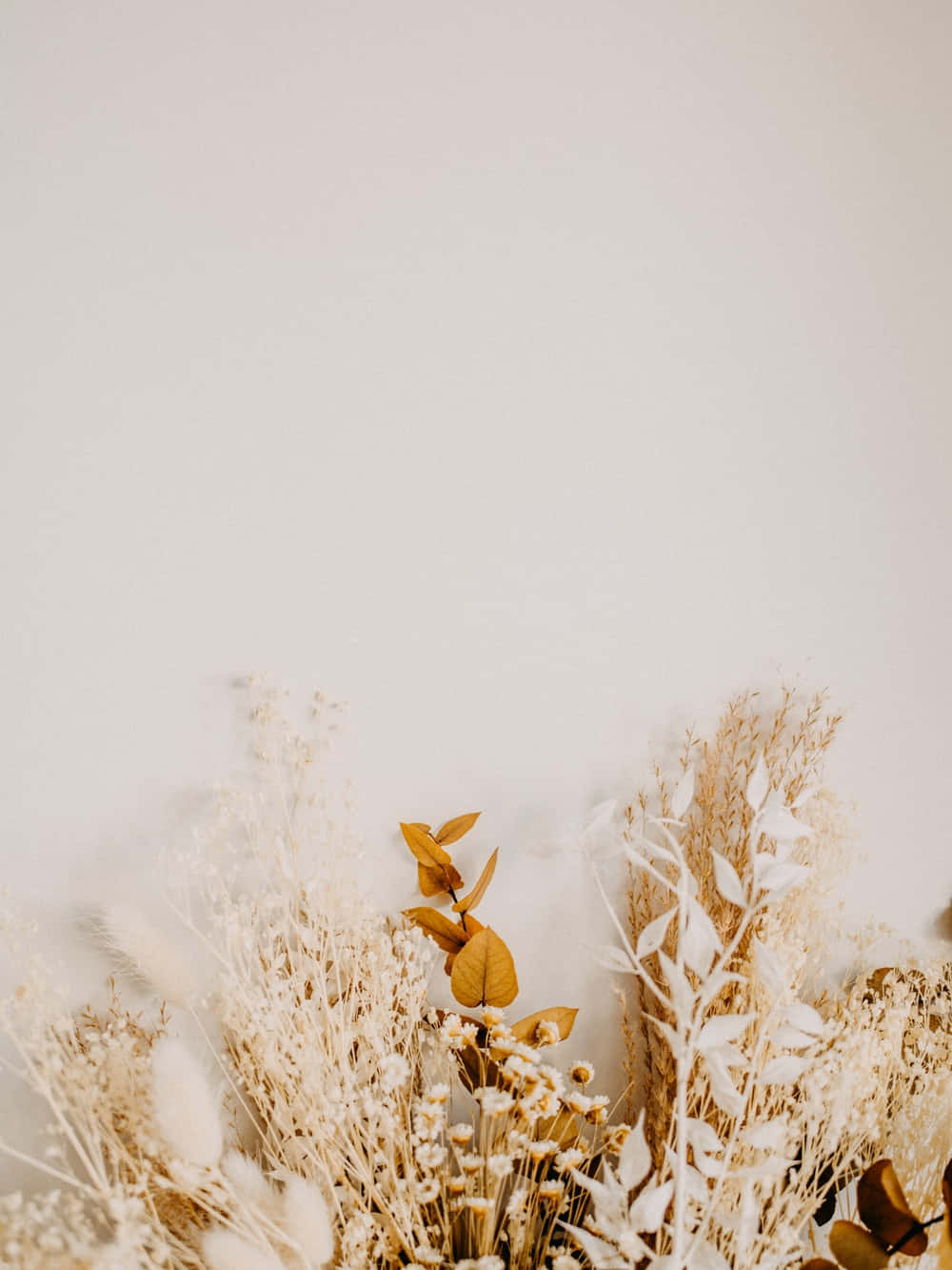 A Beautiful Arrangement Of Dried Flowers Wallpaper