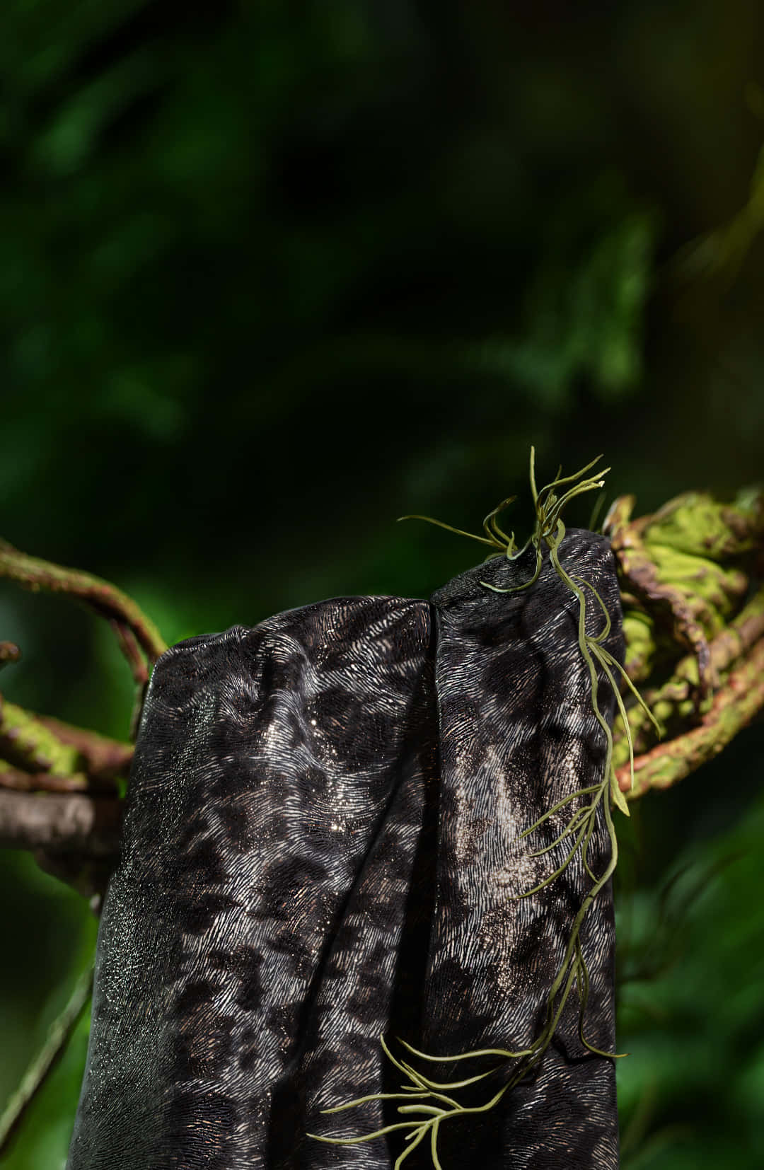 A Beautiful Black Leopard Resting In The Wild Wallpaper