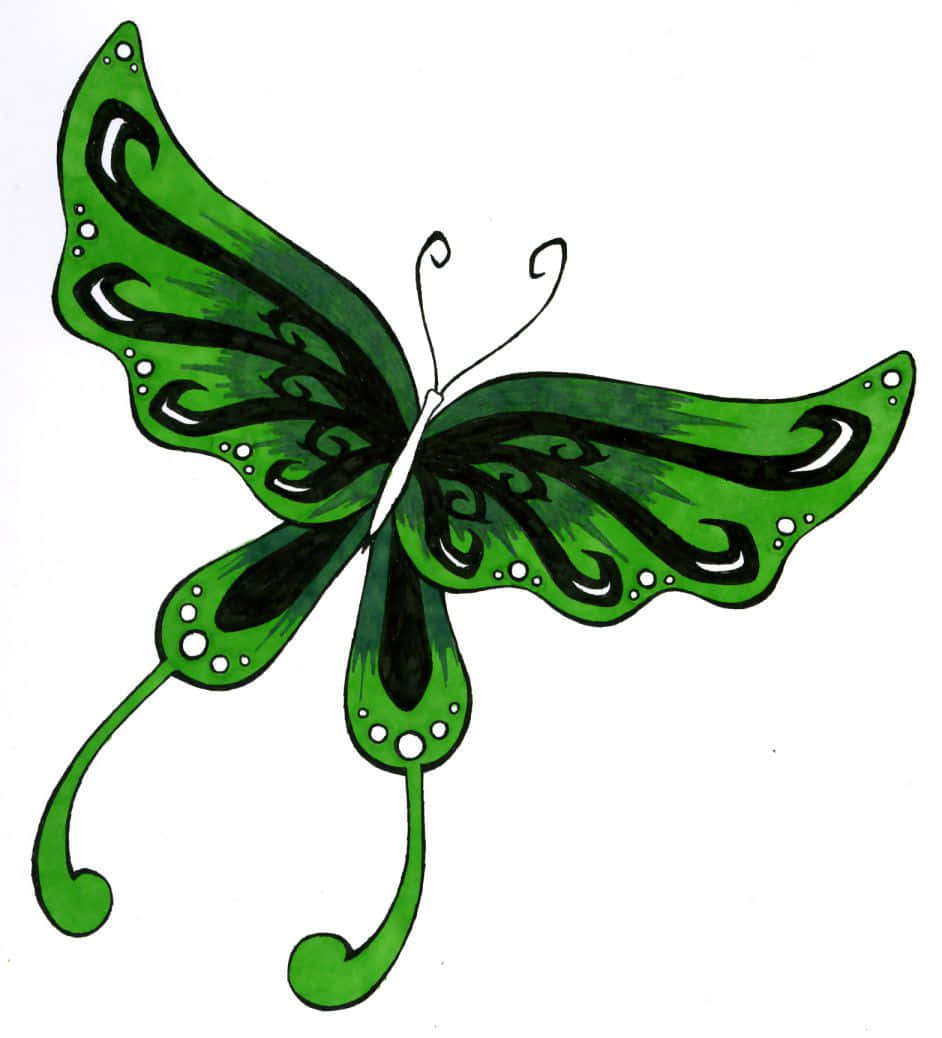 A Beautiful Green Butterfly, Looking For A New Home Wallpaper