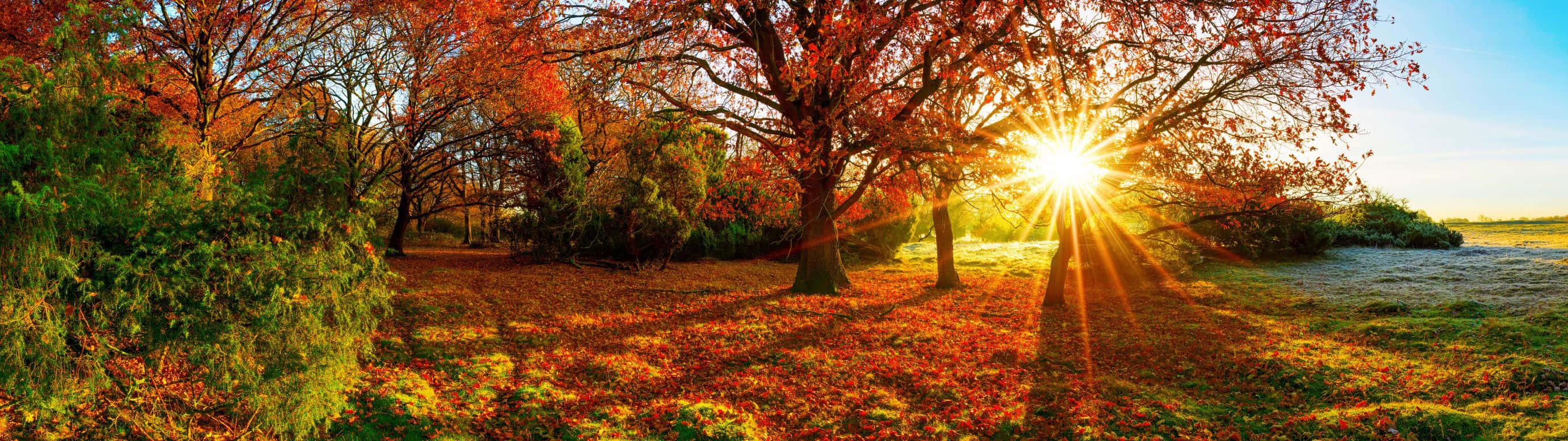 A Beautiful Photograph Of A Nature Scene Near The Mountains Wallpaper