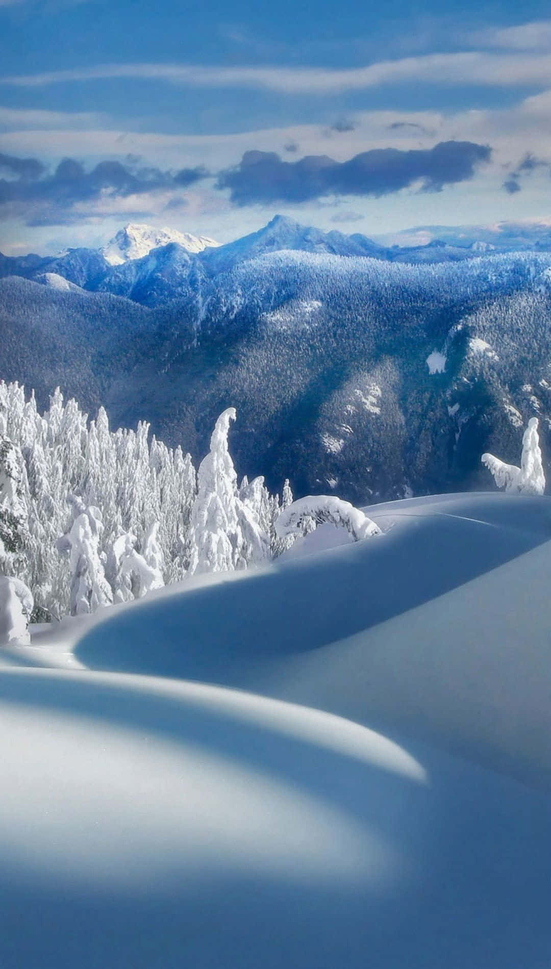 A Beautiful, Snowy Winter Day With An Iphone 6 Plus Wallpaper