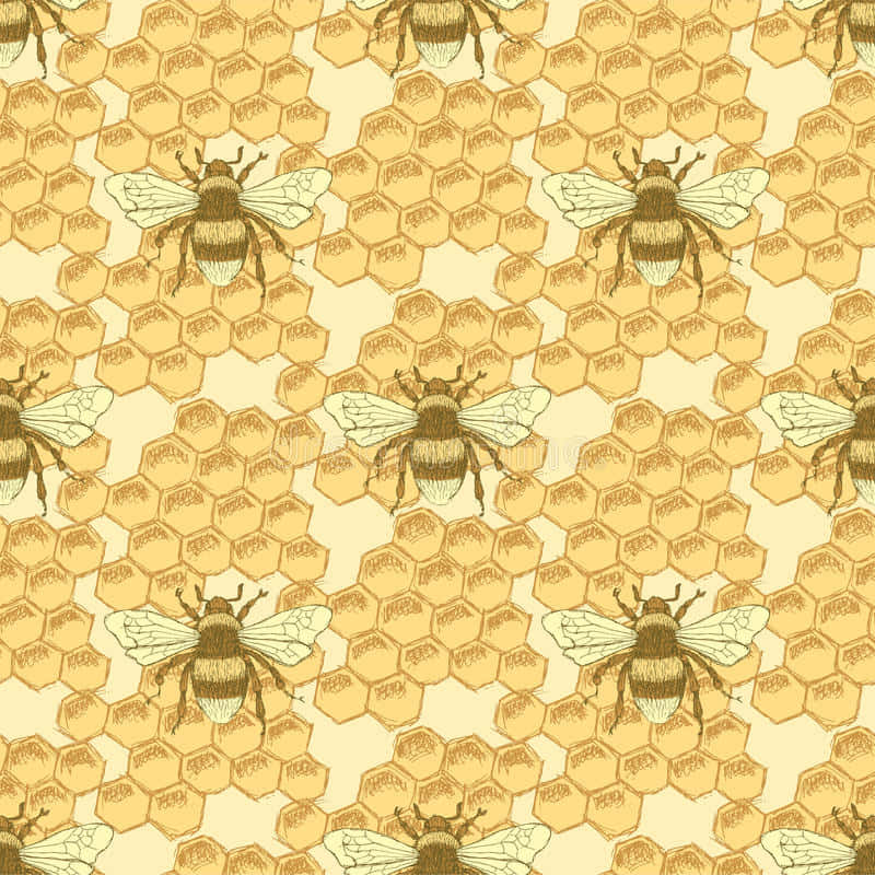 A Beautiful Vintage Bee In A Summer Meadow. Wallpaper