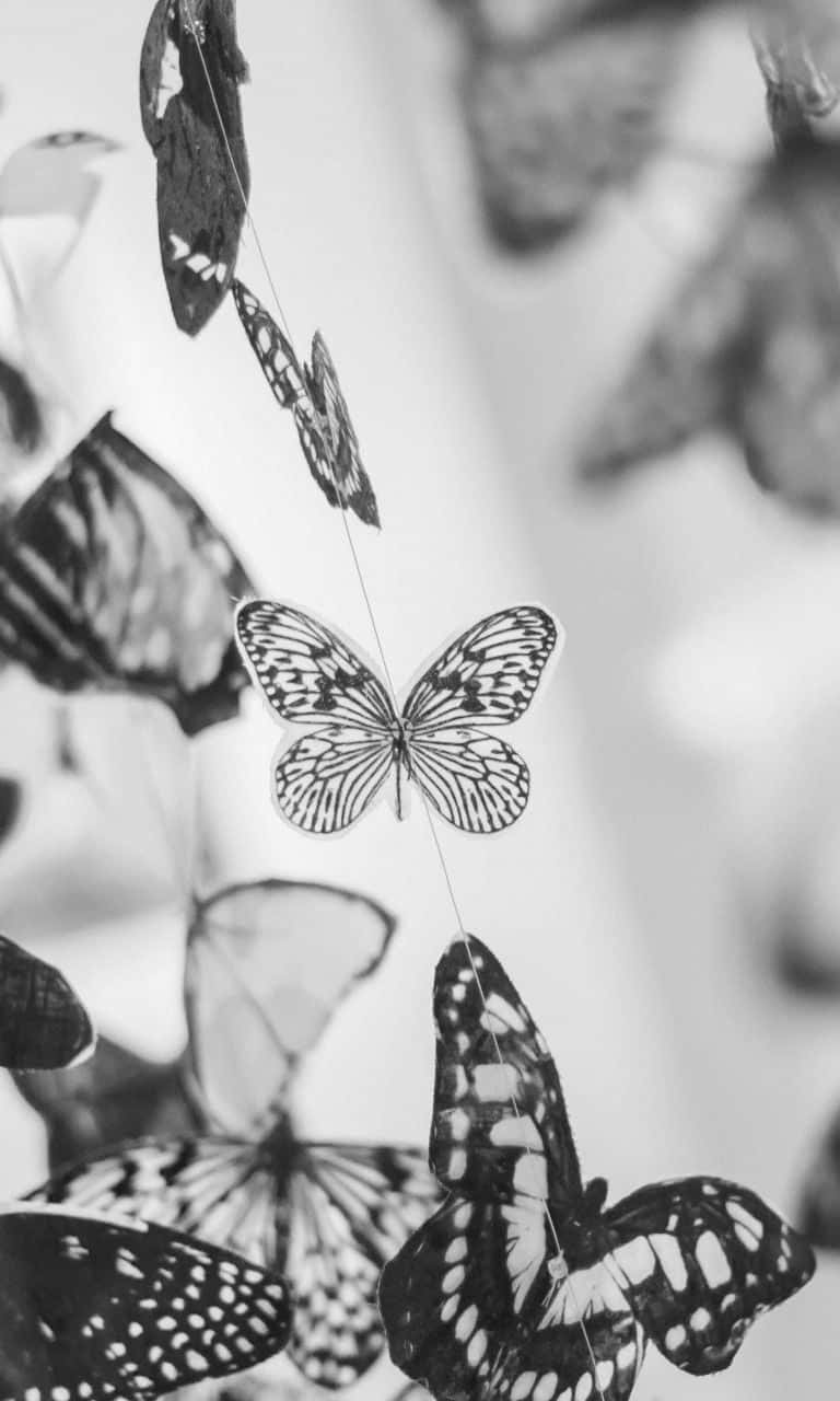 A Beautiful White Butterfly Soaring Through Nature Wallpaper