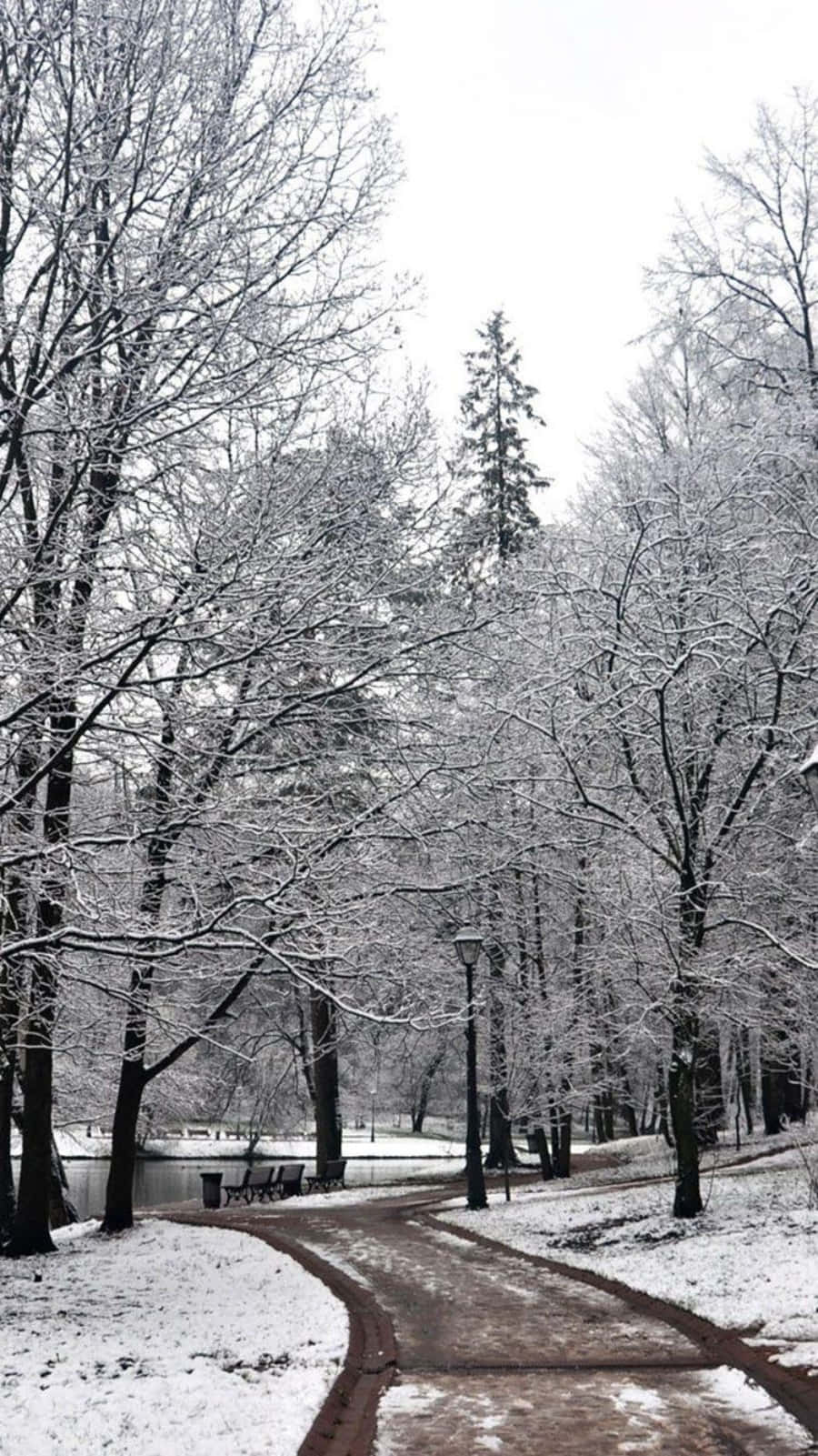 A Beautiful Winter Scene With A Phone In The Foreground Wallpaper