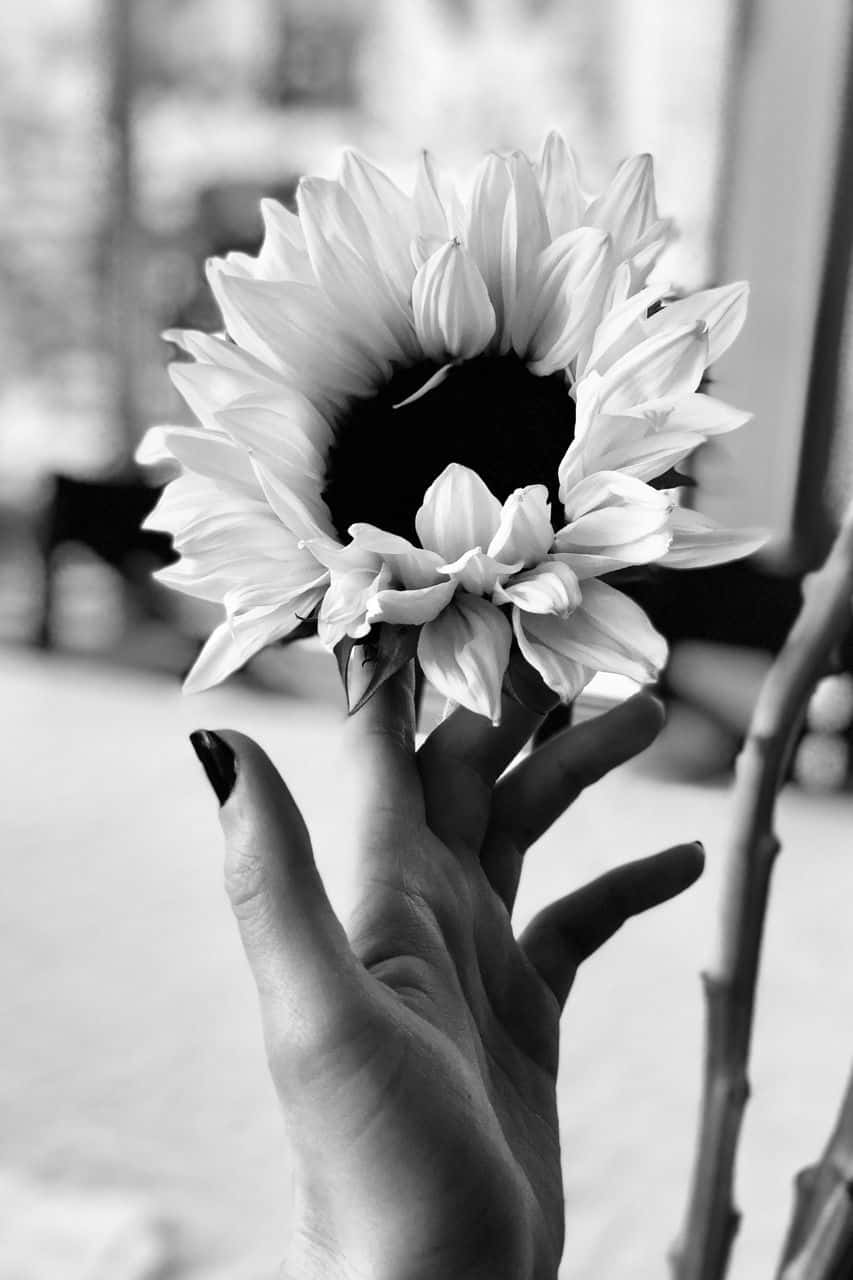 A Black And White Aesthetic Flower Wallpaper