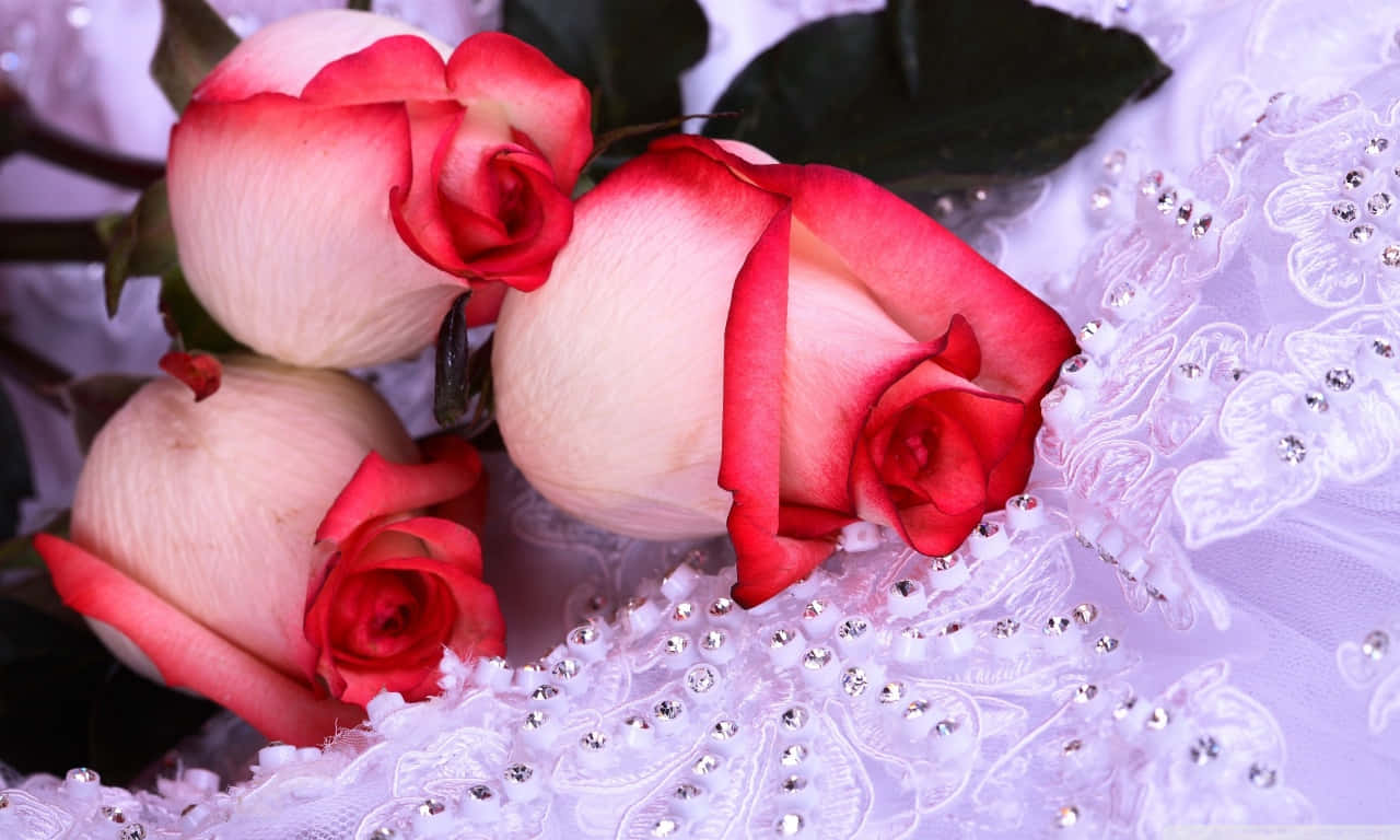 A Bouquet Of Red Roses Is Sitting On A White Cloth Wallpaper