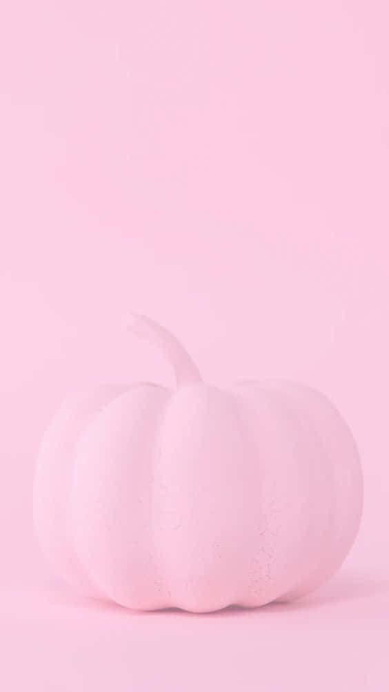 A Bright And Cheerful Pink Pumpkin Harbinger Of The Fall Season Wallpaper