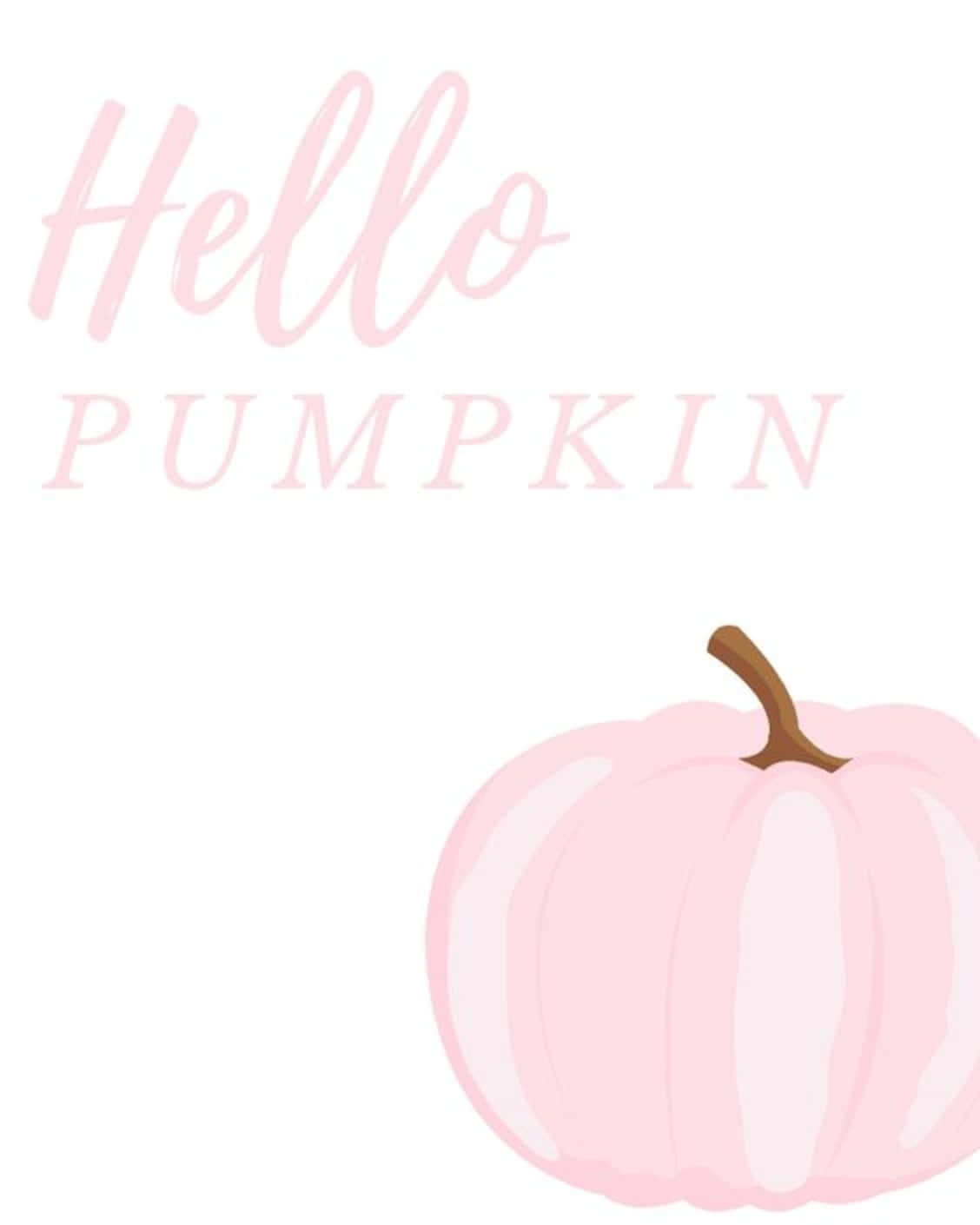 A Brightly-colored Pink Pumpkin Wallpaper