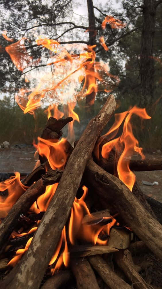 A Campfire With Logs And Firewood Wallpaper