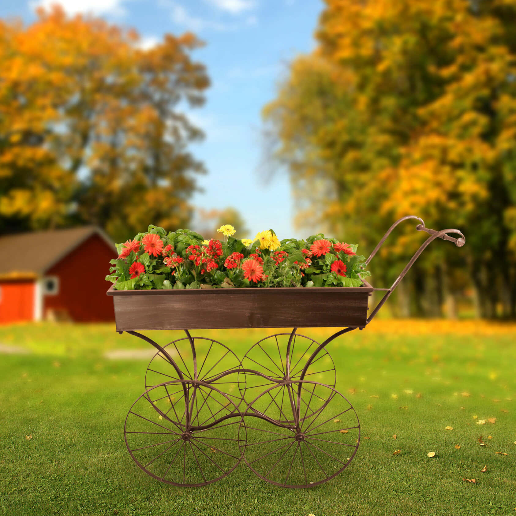 A Charming Flower Cart Filled With Colorful Fresh Flowers Wallpaper