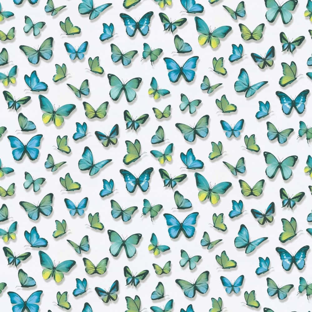 A Close-up Of A Green Butterfly Wallpaper