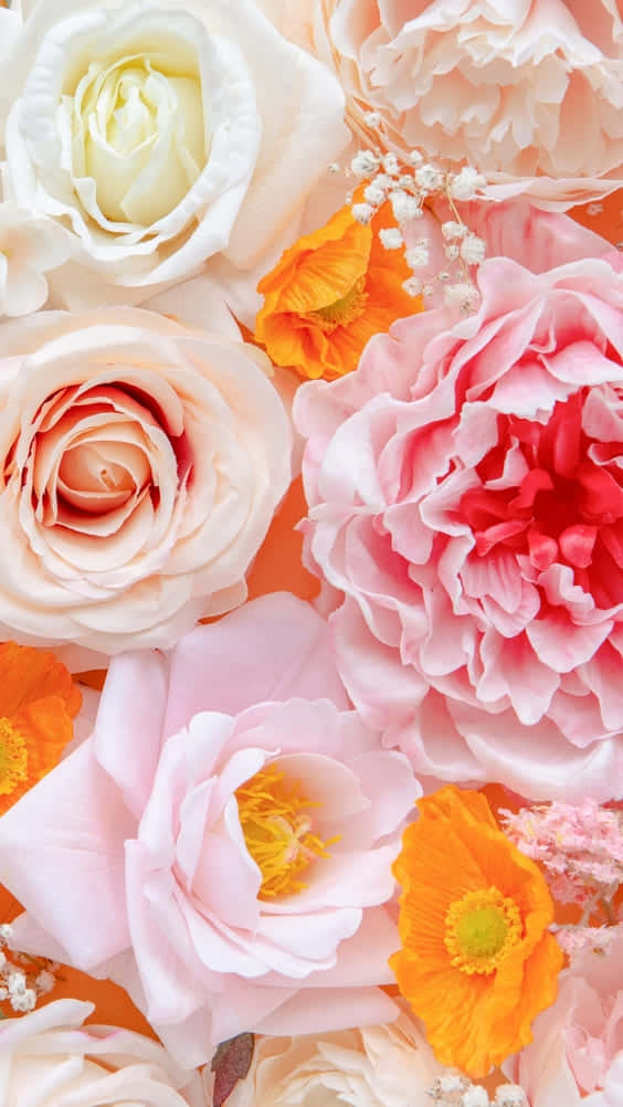 A Close Up Of Many Flowers On An Orange Background Wallpaper