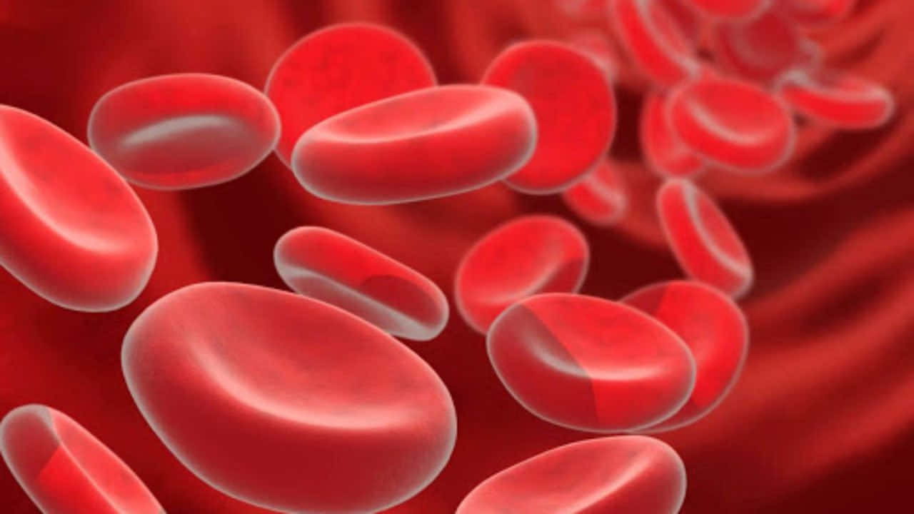 A Close-up View Of Red Blood Cells Wallpaper