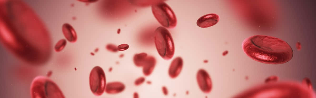 A Close-up View Of Red Blood Cells Wallpaper