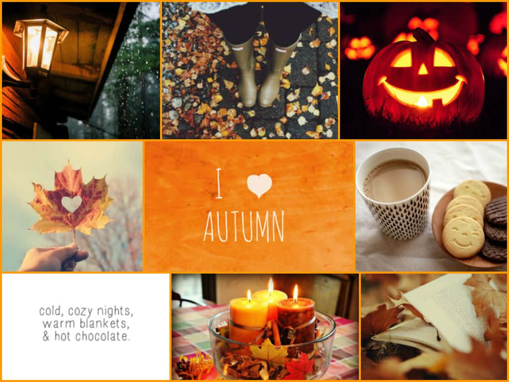 A Collage Of Nature's Autumnal Beauty Wallpaper