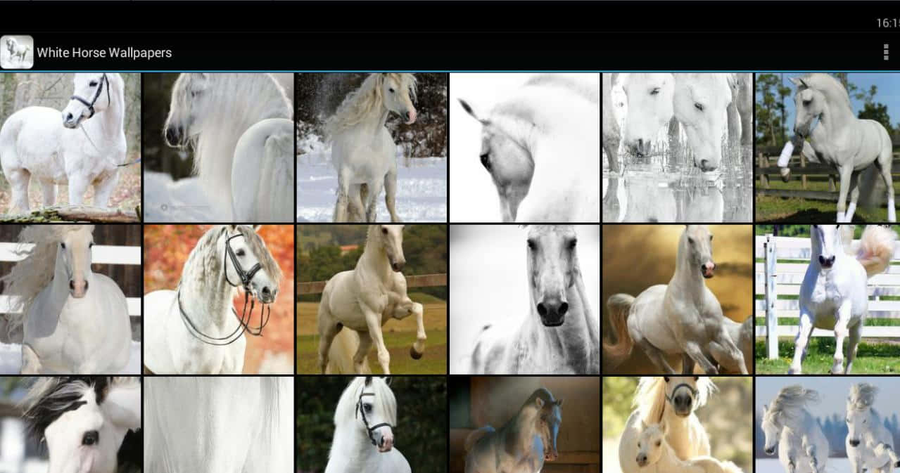 A Colorful Collage Of Horses Wallpaper