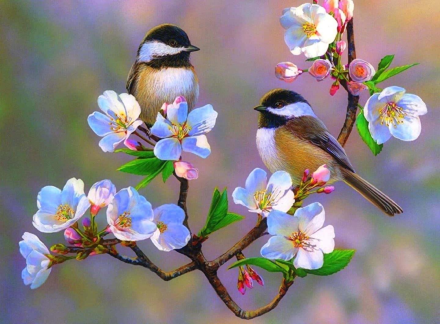 A Colorful Pair Of Spring Birds Perched On Blooming Tree Branches Wallpaper