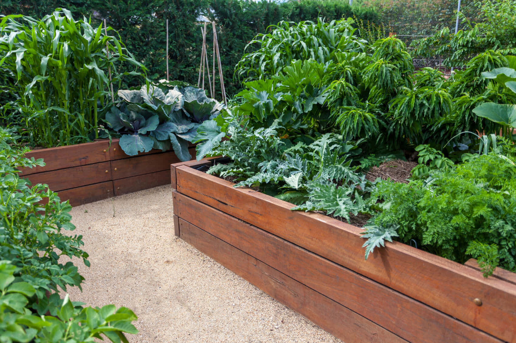 A Comfortable And Inviting Garden Bed With Beautiful Seasonal Flowers. Wallpaper