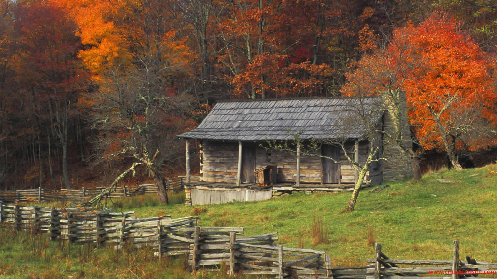 A Cozy Cabin Nestled Among Colorful Autumn Trees Wallpaper