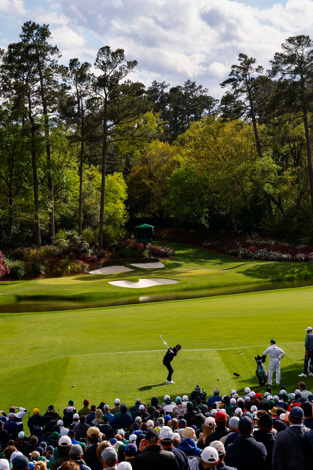 A Crowd Watching At Augusta National Iphone Wallpaper