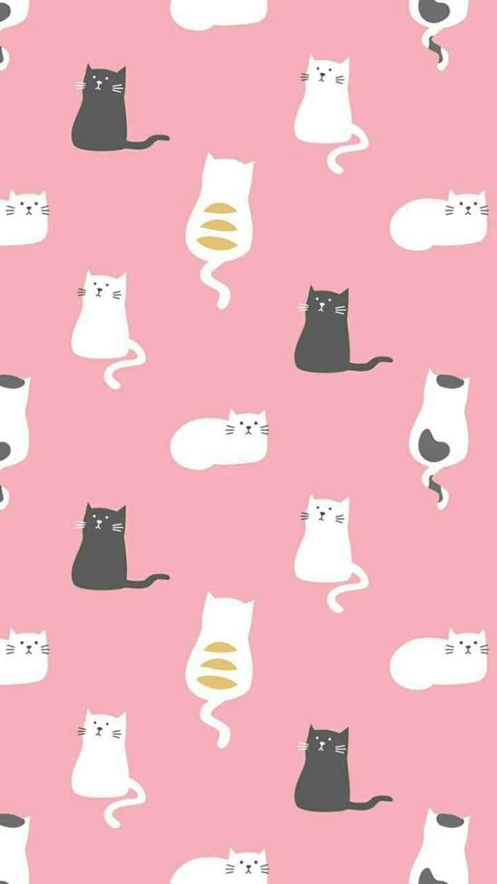 A Cute Cat Pattern For All Cat Lovers Wallpaper