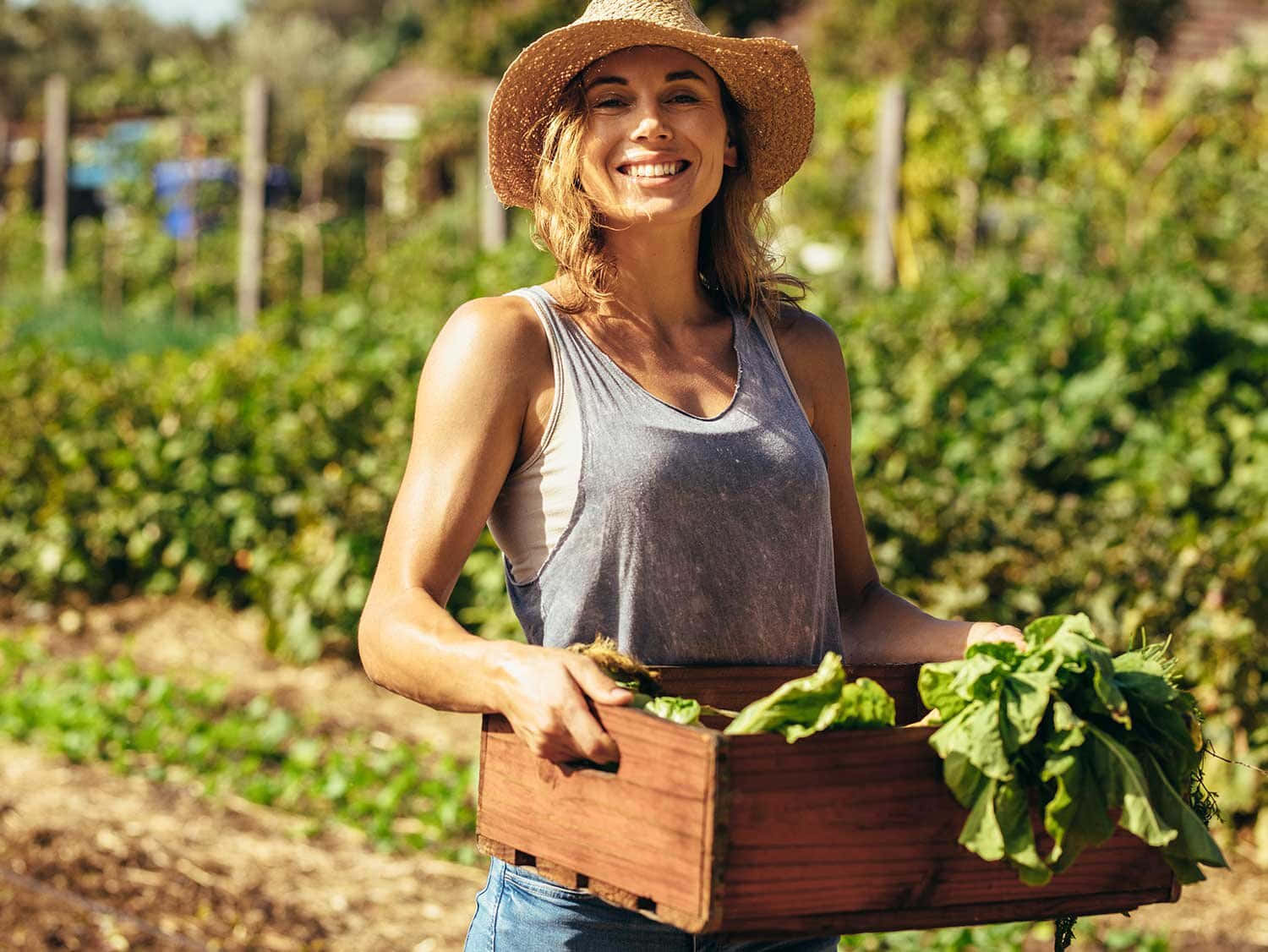 A Farmer Working In A Vibrant Organic Farm Wallpaper