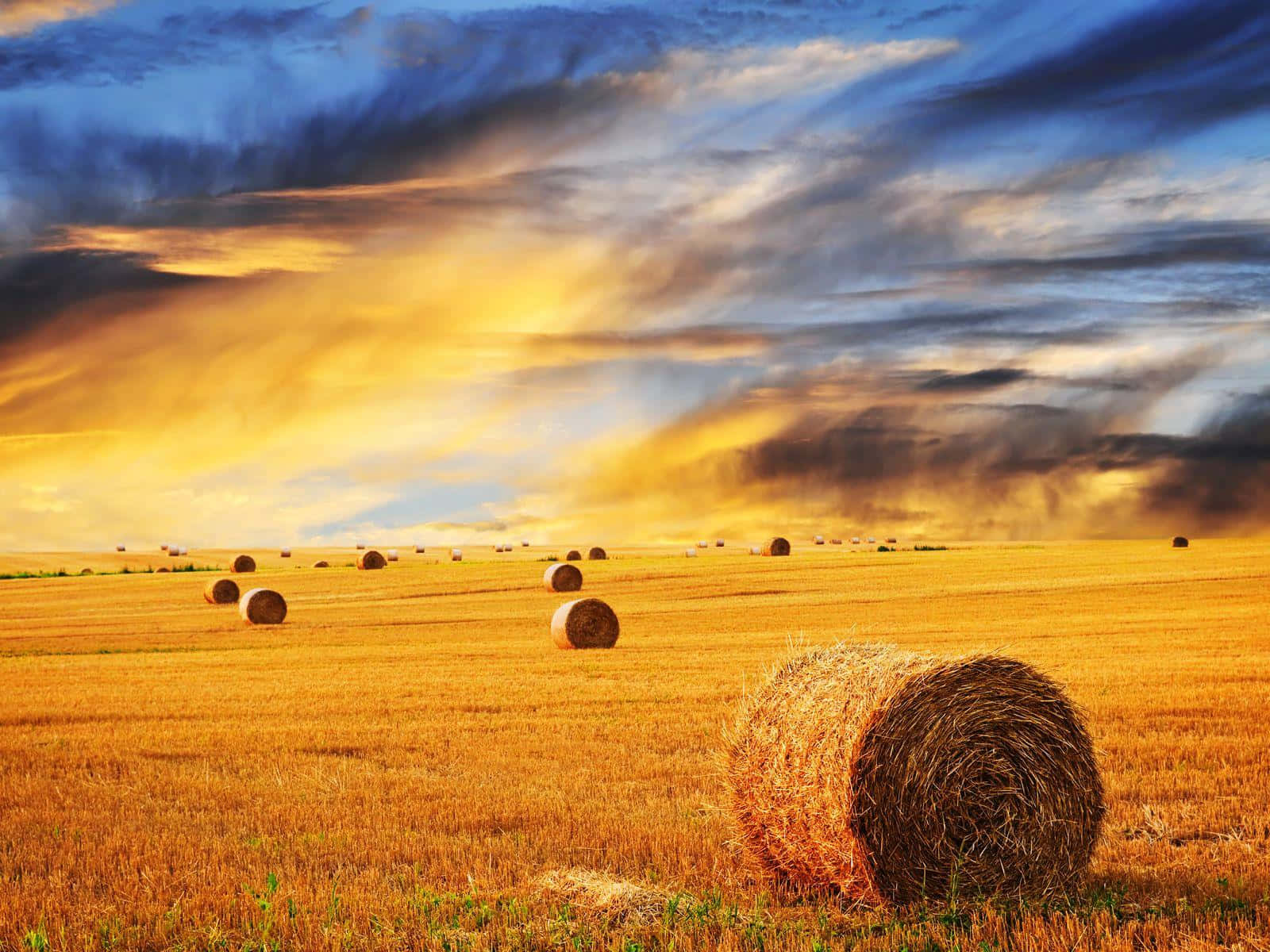 A Field Of Hay Bales Wallpaper