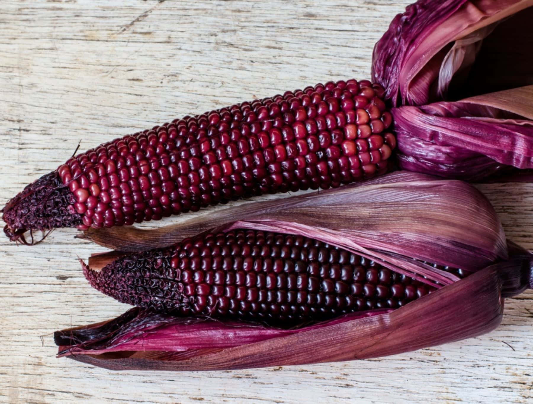 A Field Of Purple Corn Wallpaper