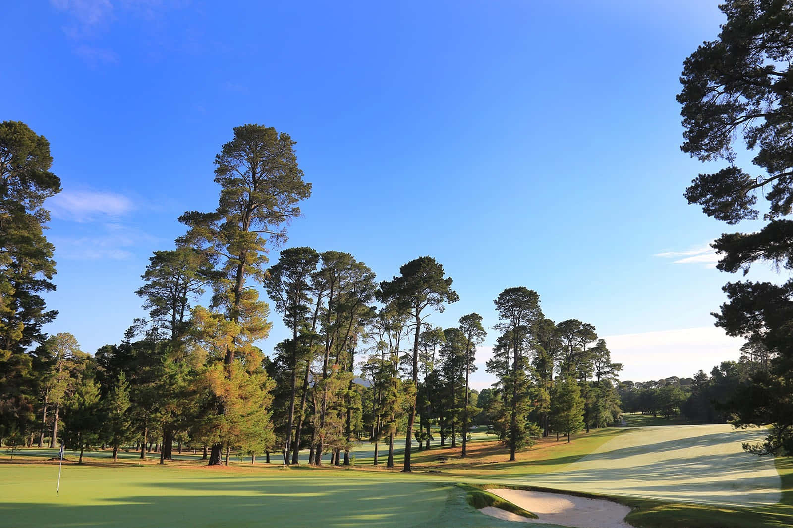 A Golf Course With Trees And A Green Sand Bunker Wallpaper