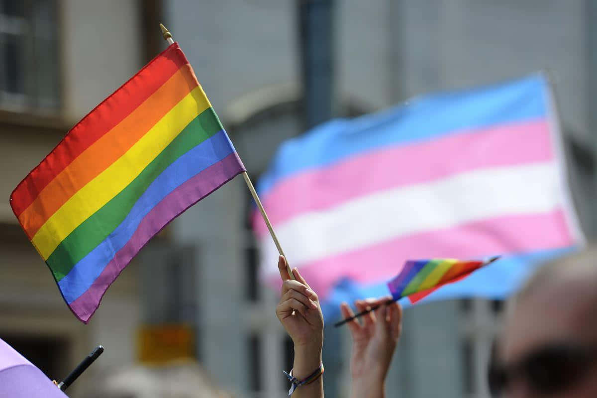 A Group Of People Holding Rainbow Flags In A Crowd Wallpaper