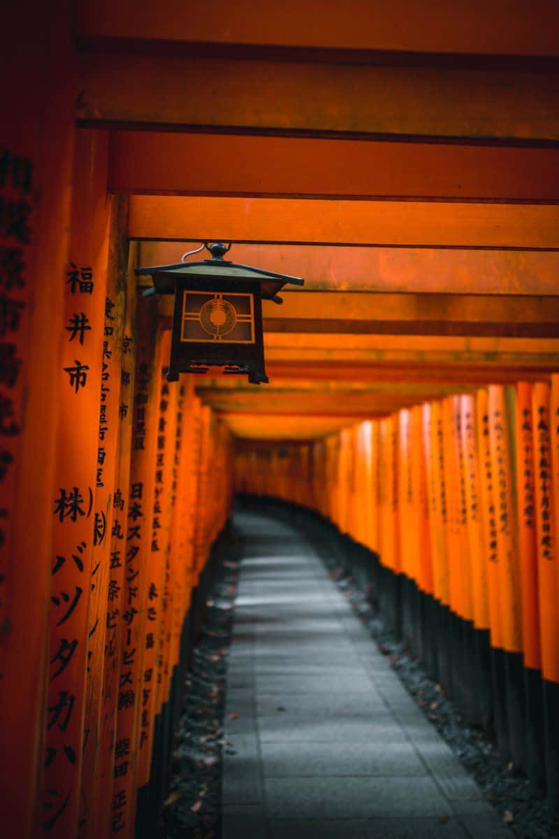 A Hallway With Orange Tori Tori Gates Wallpaper