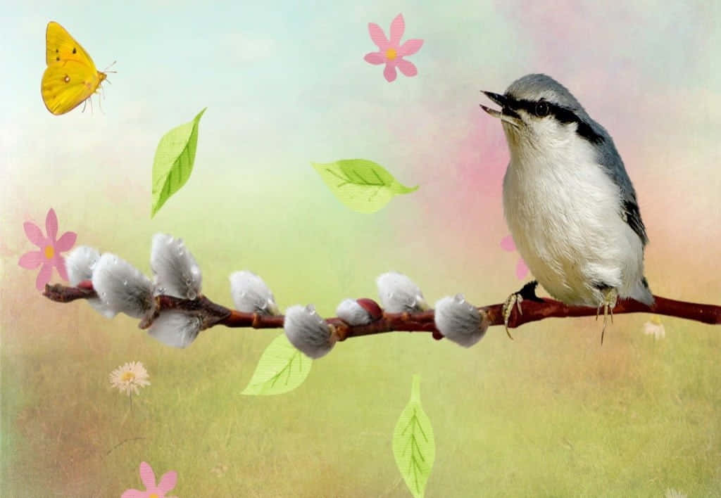 A Harmonious Gathering Of Various Birds Chirping Together On A Sunny Day Wallpaper