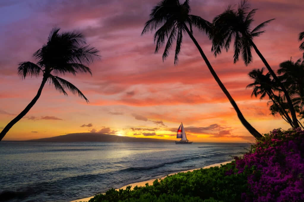 A Heavenly Hawaiian Sunset Wallpaper