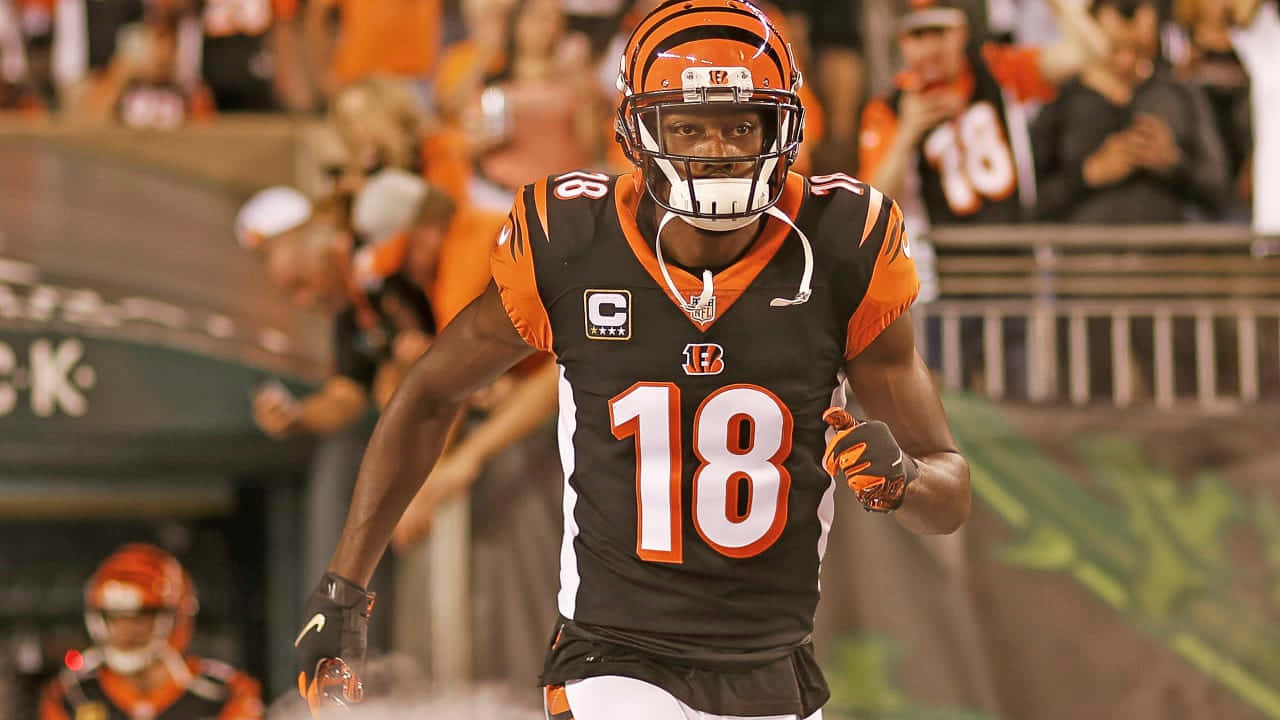 A J Green Cincinnati Bengals Action Wallpaper