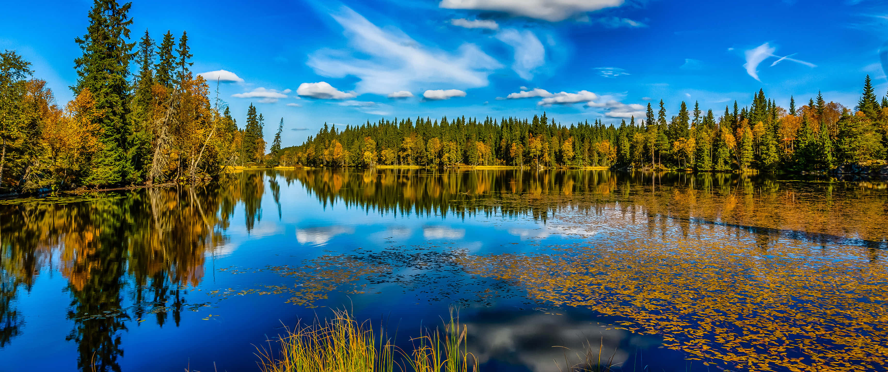 A Lake With Trees Wallpaper