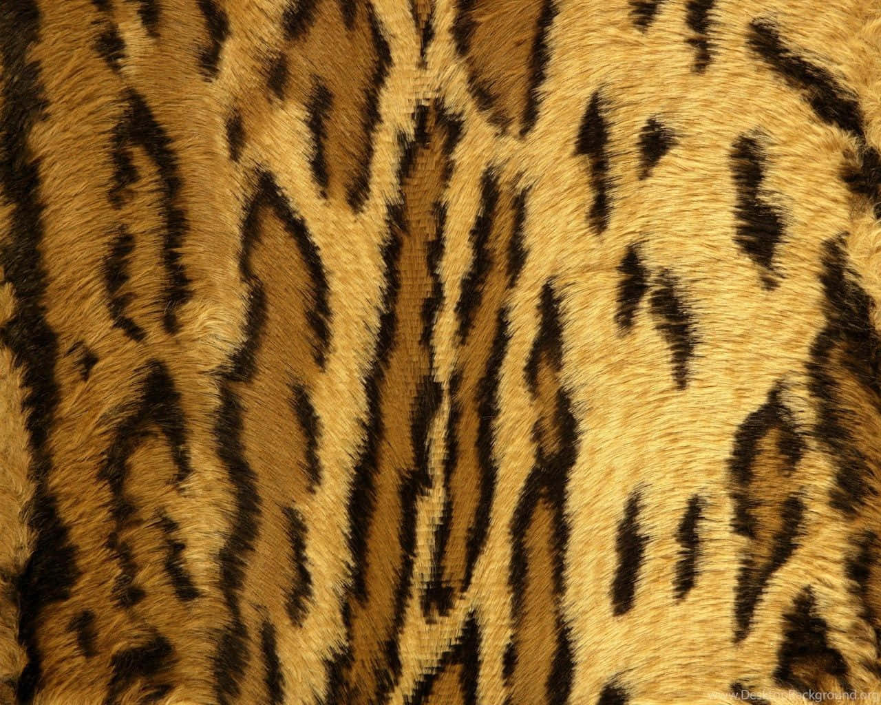 A Leopard Pattern For Your Interior Decor Wallpaper